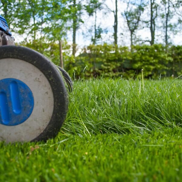 lawnmower, gardening, lawn-mower, lawn-mower chassis, lawn, grass, cutting, gardener, equipment, hdr, summer, work, hobby, garden, machine, backyard, mower, maintenance, nature, lawn mower, yard, green work, green gardening